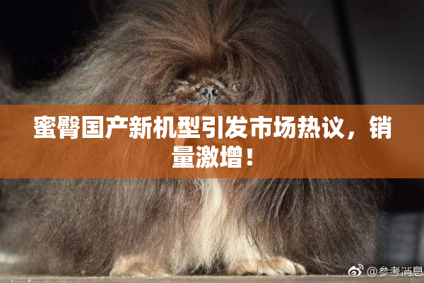 蜜臀国产新机型引发市场热议，销量激增！