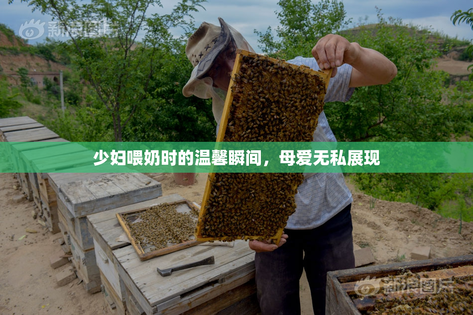 少妇喂奶时的温馨瞬间，母爱无私展现