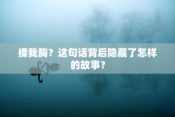 揉我胸？这句话背后隐藏了怎样的故事？