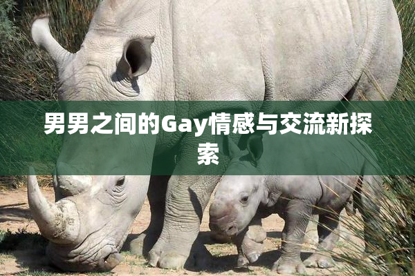 男男之间的Gay情感与交流新探索