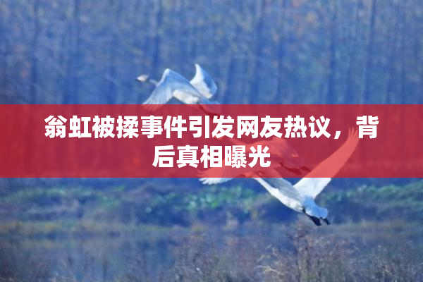 翁虹被揉事件引发网友热议，背后真相曝光