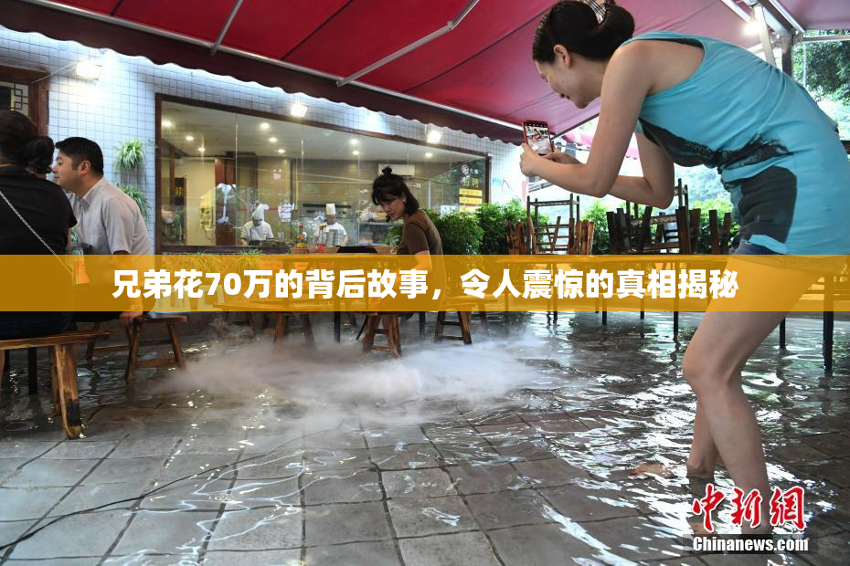 兄弟花70万的背后故事，令人震惊的真相揭秘