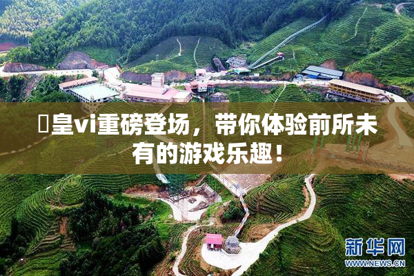 嘼皇vi重磅登场，带你体验前所未有的游戏乐趣！