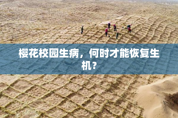 樱花校园生病，何时才能恢复生机？