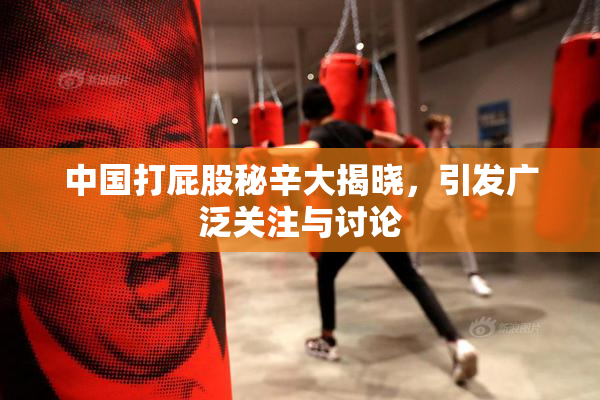 中国打屁股秘辛大揭晓，引发广泛关注与讨论
