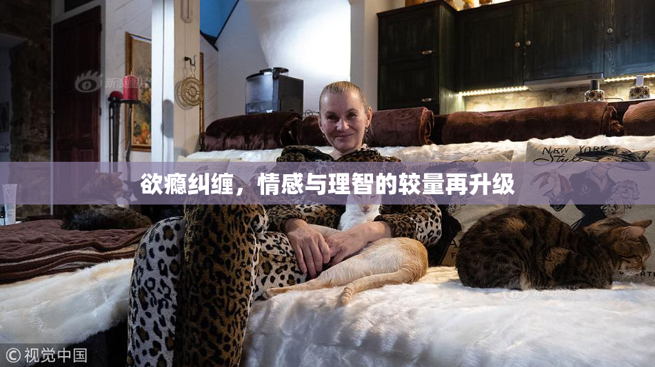 欲瘾纠缠，情感与理智的较量再升级