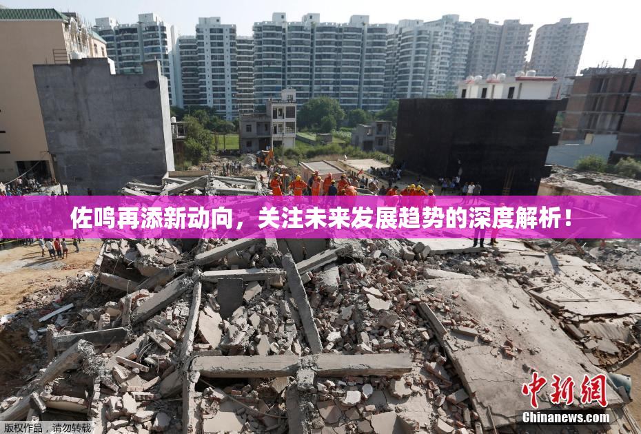 佐鸣再添新动向，关注未来发展趋势的深度解析！