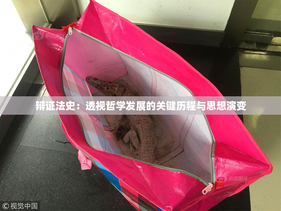 辩证法史：透视哲学发展的关键历程与思想演变