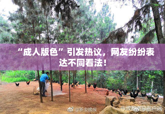 “成人版色”引发热议，网友纷纷表达不同看法！