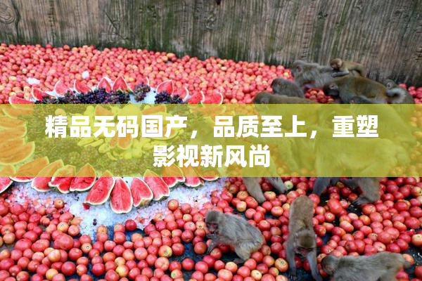 精品无码国产，品质至上，重塑影视新风尚