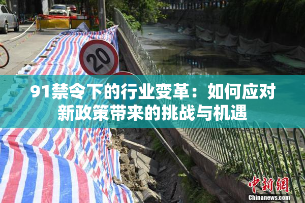91禁令下的行业变革：如何应对新政策带来的挑战与机遇