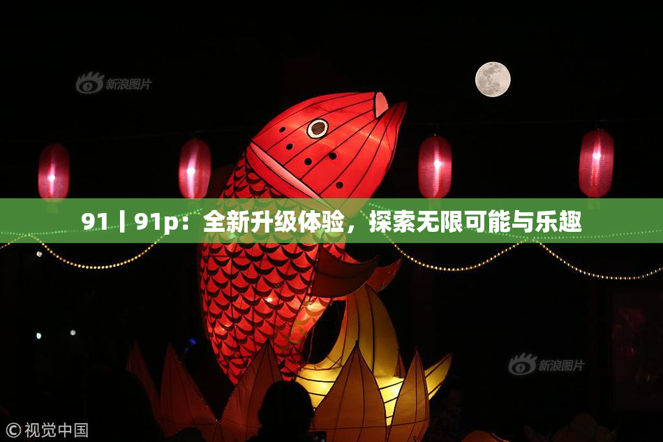 91丨91p：全新升级体验，探索无限可能与乐趣