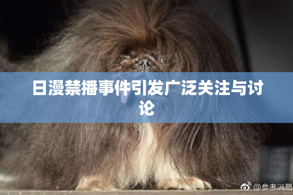 日漫禁播事件引发广泛关注与讨论
