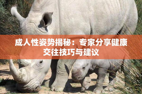 成人性姿势揭秘：专家分享健康交往技巧与建议