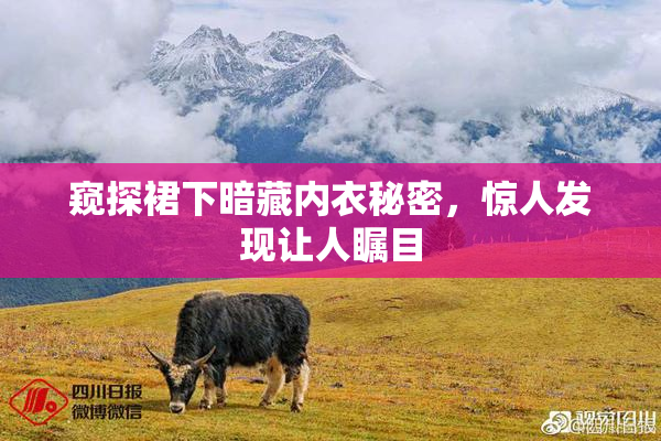 窥探裙下暗藏内衣秘密，惊人发现让人瞩目