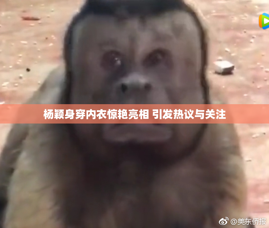 杨颖身穿内衣惊艳亮相 引发热议与关注