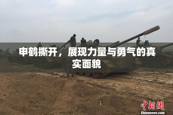 申鹤撕开，展现力量与勇气的真实面貌
