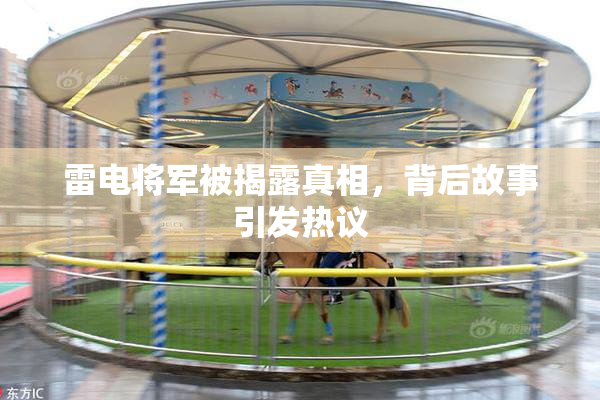 雷电将军被揭露真相，背后故事引发热议