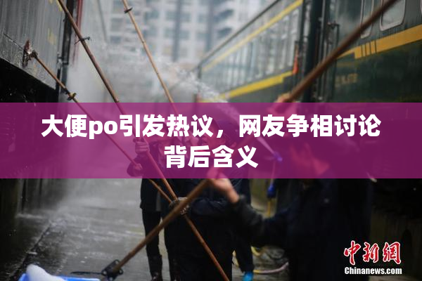 大便po引发热议，网友争相讨论背后含义