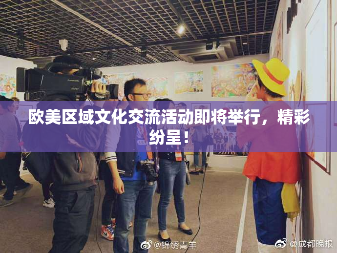 欧美区域文化交流活动即将举行，精彩纷呈！