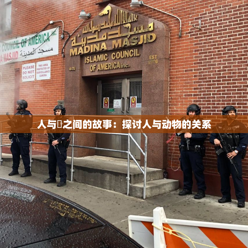 人与嘼之间的故事：探讨人与动物的关系