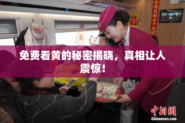 免费看黄的秘密揭晓，真相让人震惊！