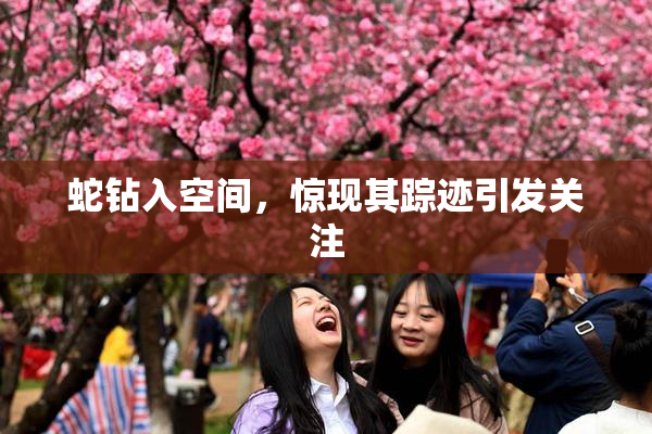 蛇钻入空间，惊现其踪迹引发关注