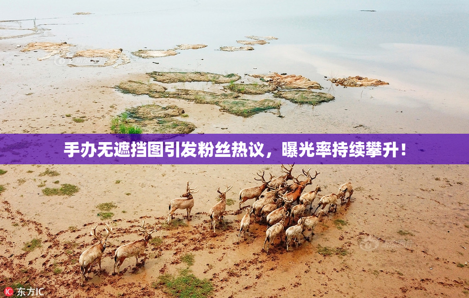 手办无遮挡图引发粉丝热议，曝光率持续攀升！