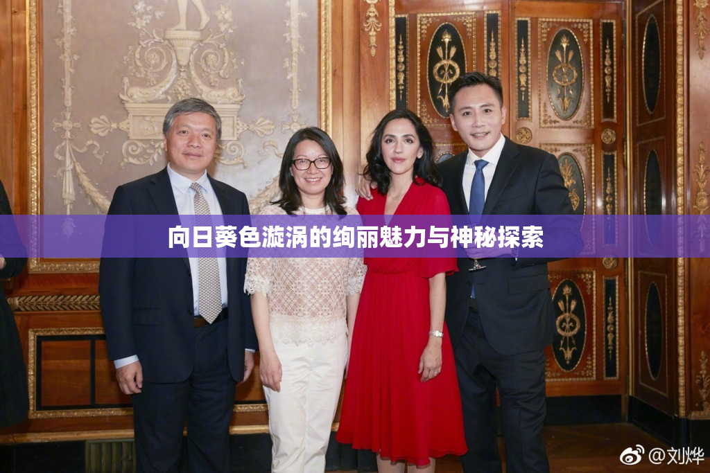 向日葵色漩涡的绚丽魅力与神秘探索