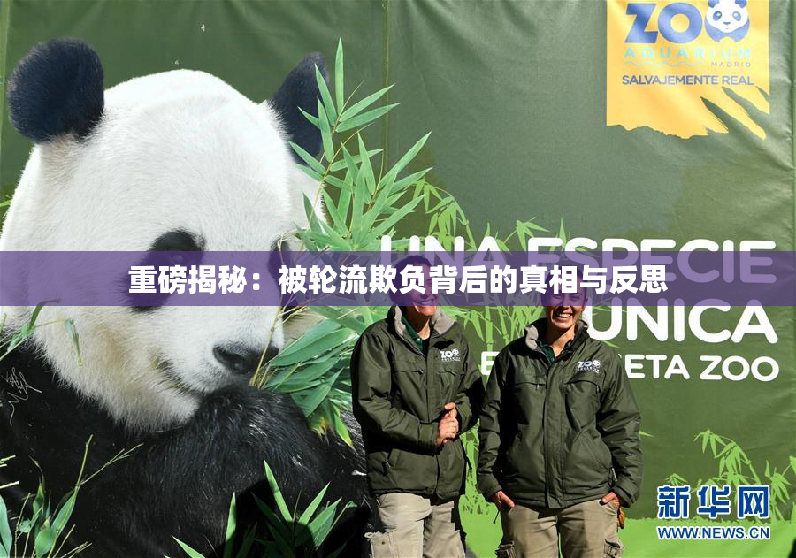 重磅揭秘：被轮流欺负背后的真相与反思