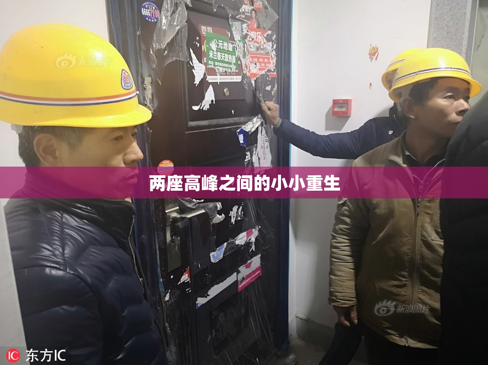 两座高峰之间的小小重生