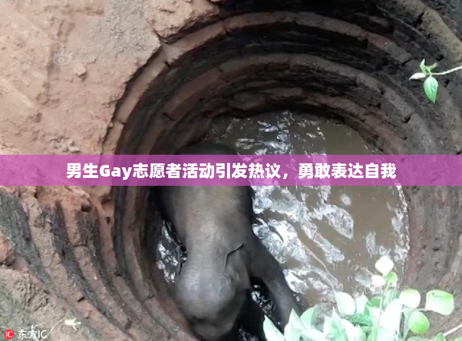 男生Gay志愿者活动引发热议，勇敢表达自我