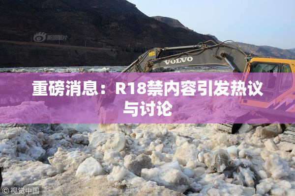 重磅消息：R18禁内容引发热议与讨论