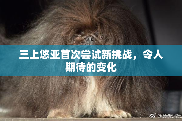 三上悠亚首次尝试新挑战，令人期待的变化