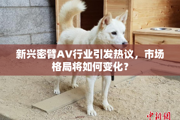 新兴密臂AV行业引发热议，市场格局将如何变化？