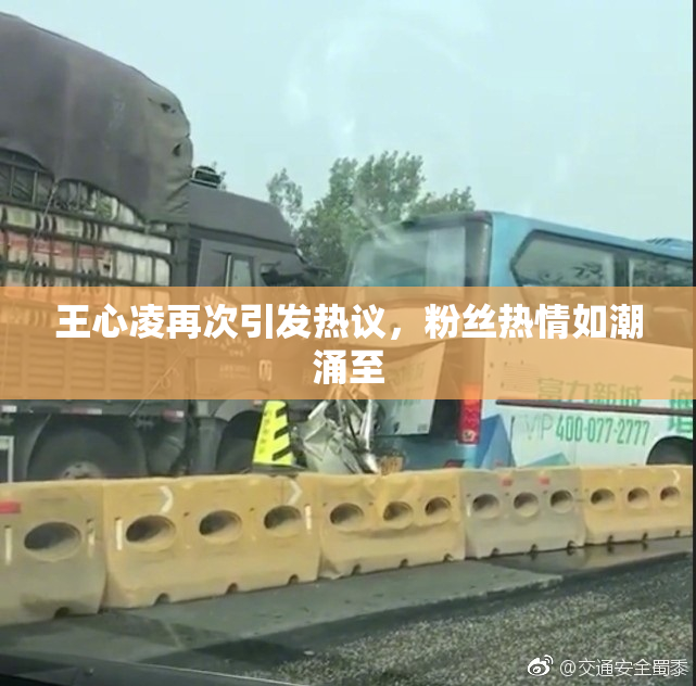 王心凌再次引发热议，粉丝热情如潮涌至