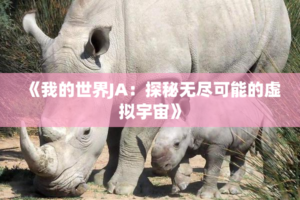 《我的世界JA：探秘无尽可能的虚拟宇宙》