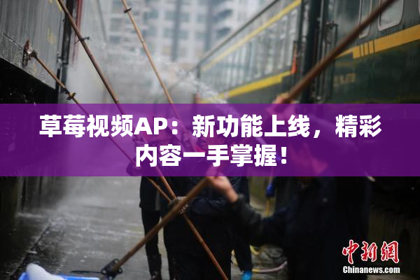草莓视频AP：新功能上线，精彩内容一手掌握！