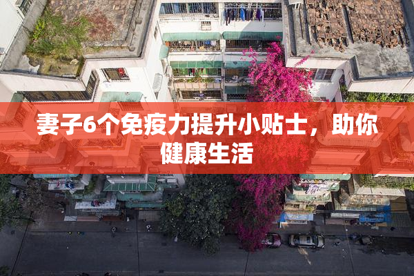 妻子6个免疫力提升小贴士，助你健康生活