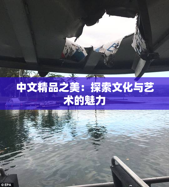 中文精品之美：探索文化与艺术的魅力