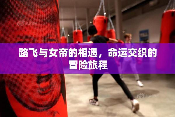 路飞与女帝的相遇，命运交织的冒险旅程