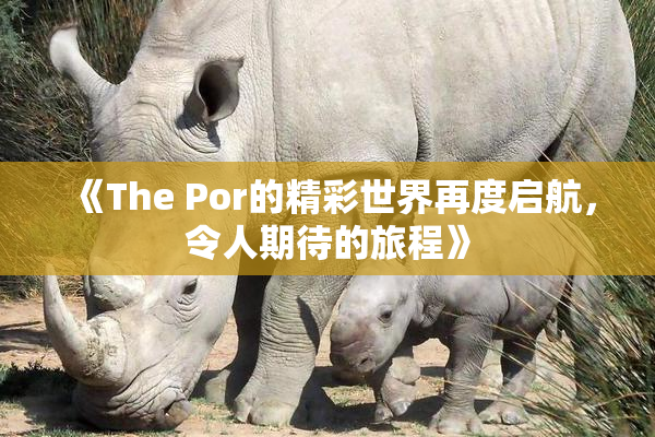 《The Por的精彩世界再度启航，令人期待的旅程》
