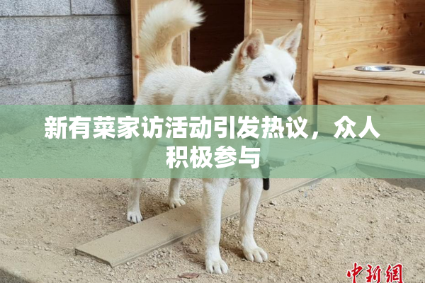 新有菜家访活动引发热议，众人积极参与