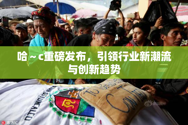 哈～c重磅发布，引领行业新潮流与创新趋势