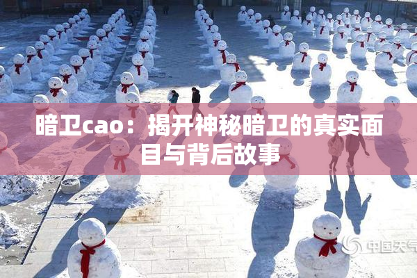 暗卫cao：揭开神秘暗卫的真实面目与背后故事