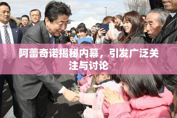 阿蕾奇诺揭秘内幕，引发广泛关注与讨论
