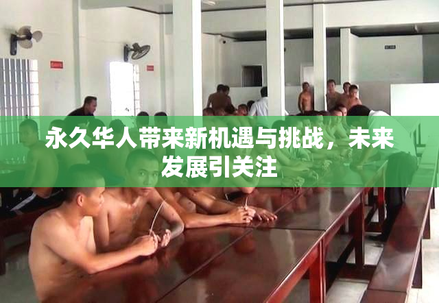 永久华人带来新机遇与挑战，未来发展引关注