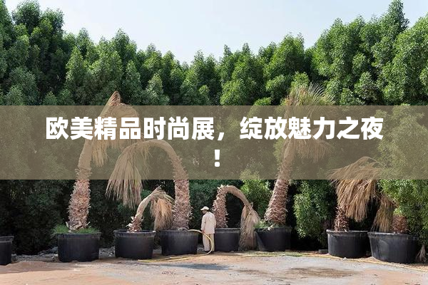 欧美精品时尚展，绽放魅力之夜！