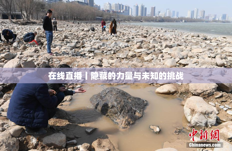 在线直播丨隐藏的力量与未知的挑战