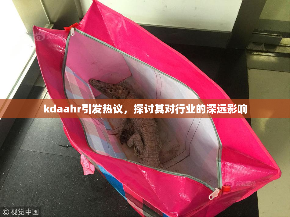 kdaahr引发热议，探讨其对行业的深远影响